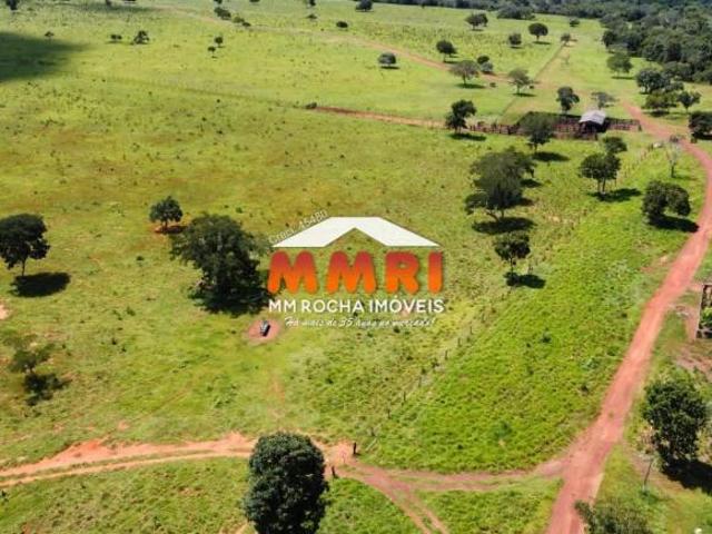 Fazenda em Novo Joaquim/MT