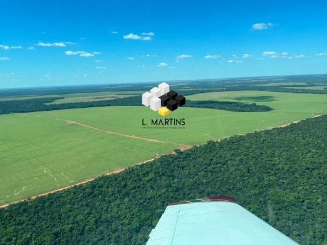 Fazenda em Nova Mutum mt