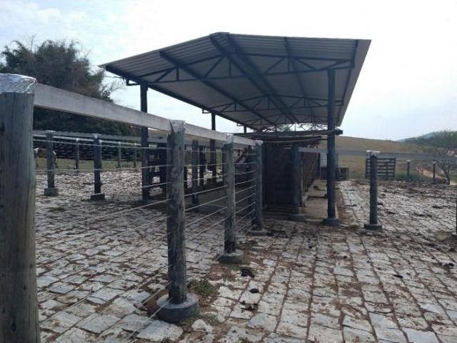 Fazenda em Oliveira 404 hectares