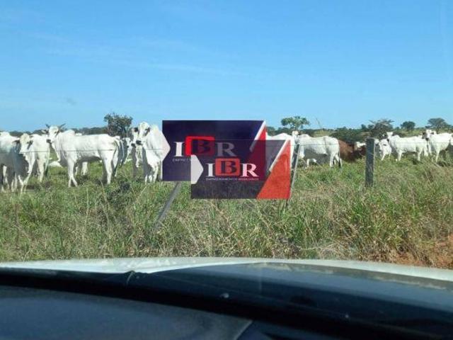 Fazenda em Águas Clara MS