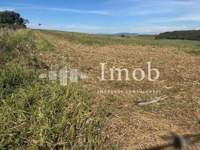 FAZENDA EM ALFENAS COM DNA PARA PLANTIO DE CAFÉ