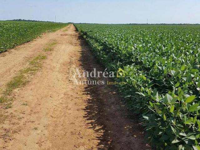 Fazenda em Alto Boa Vista, Porto Alegre Do Norte/MT de 2300m² 4 quartos à venda por R$ 850,00