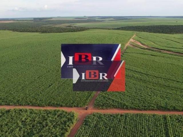 Fazenda em Alto Taquari MT