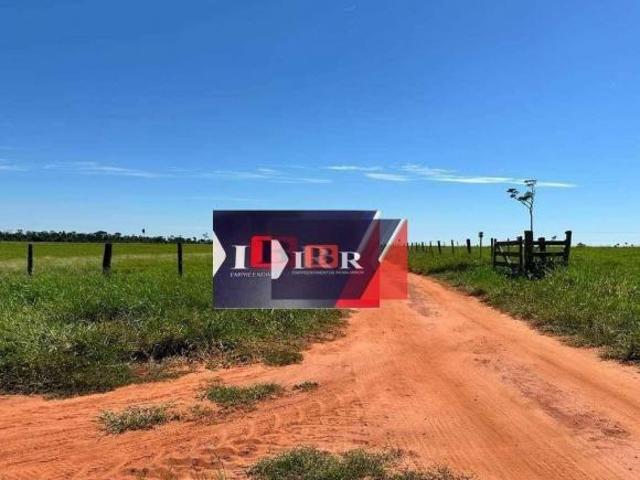 Fazenda em Anaurilândia MS