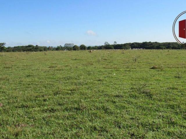Fazenda em Angatuba com 115 alqueires
