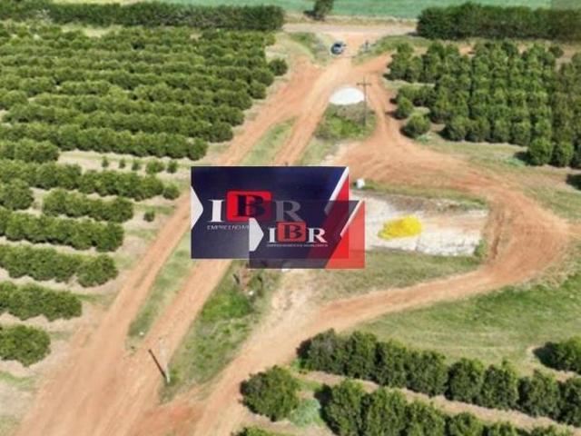 Fazenda em Angatuba SP