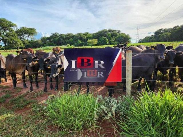 Fazenda em Aparecida do Taboado MS