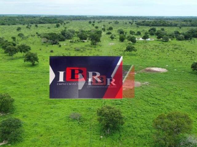 Fazenda em Araguaiana MT
