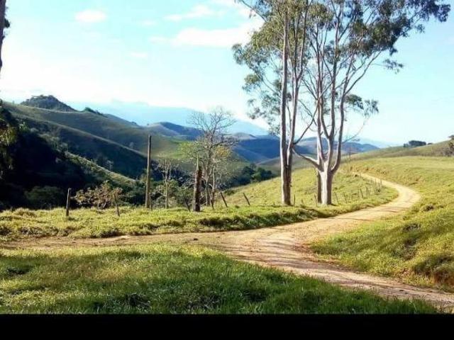 Fazenda em Areias 629 alqueires