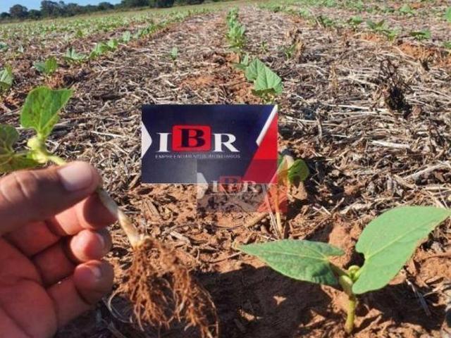 Fazenda em Buritizeiro MG