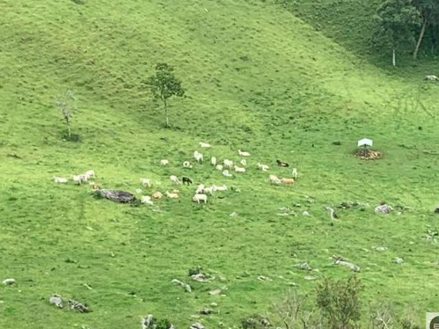 Fazenda em Brazópolis