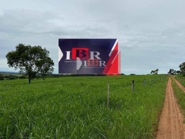 Fazenda em Camapuã MS