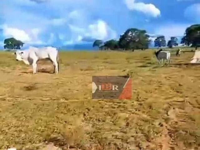 Fazenda em Camapuã MS