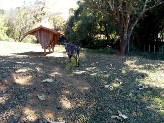 Fazenda em Cambuí, próxima à Fernão Dias