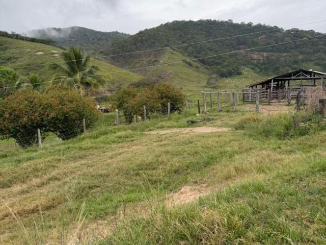 Fazenda em Campanário
