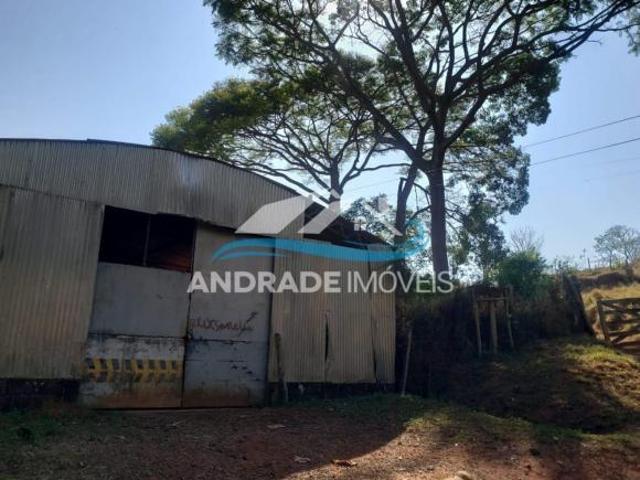 Fazenda em Campestre MG