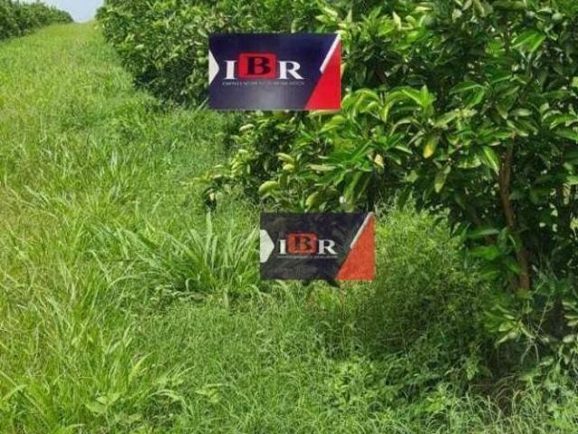 Fazenda em Campina Verde SP
