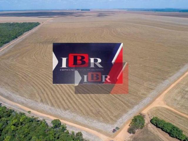 Fazenda em Campo Novo do Parecis MT