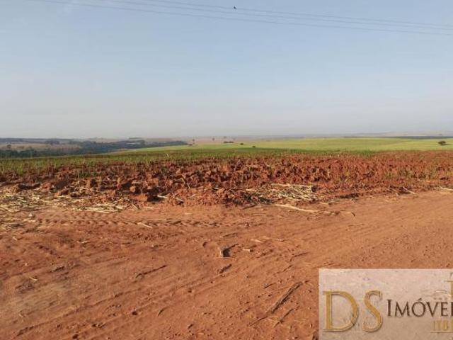 FAZENDA EM CANA A VENDA NA REGIÃO DE LINS/SP, COM 117 ALQUEIRES, SENDO 80 ALQUEIRES EM CANA, ÓTIMA T