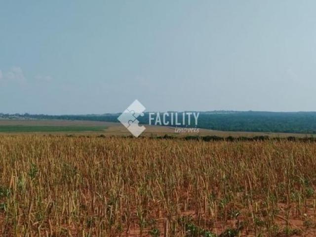 FAZENDA EM CANA A VENDA NA REGIÃO DE PRESIDENTE PRUDENTE SP