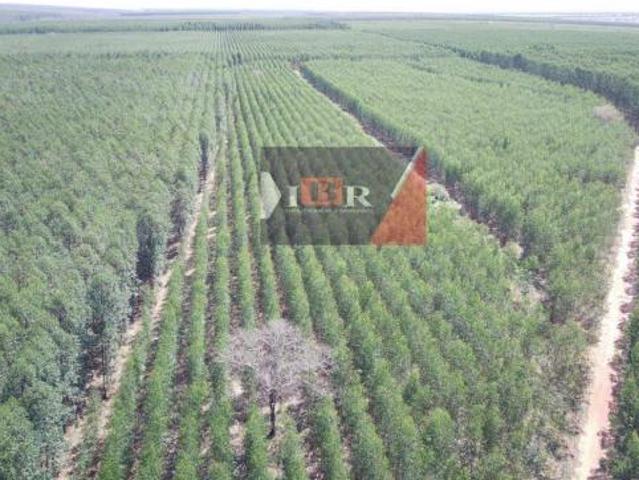 Fazenda em Cassilândia MS