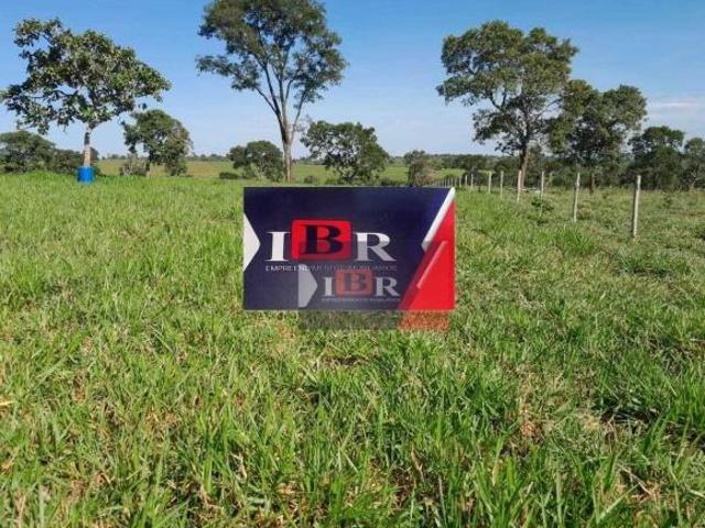 Fazenda em Cassilândia MS