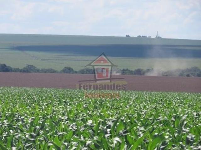 Fazenda em Centro, Dourados/MS de 0m² à venda por R$ 277.760.000,00