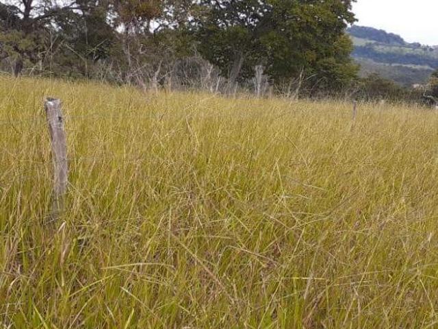 Fazenda em Claraval/MG com 110 alqueires paulistas