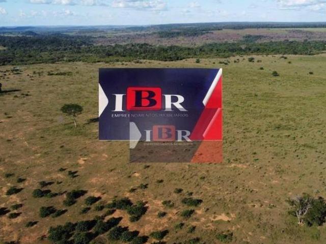 Fazenda em Colíder MT