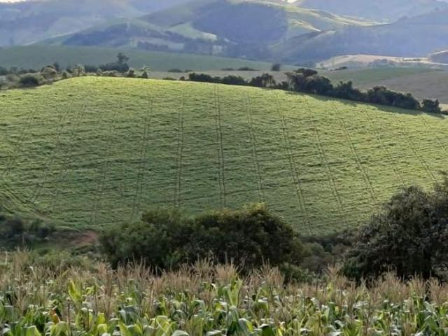 Fazenda em Conceição do Rio Verde MG 268,4 hectares
