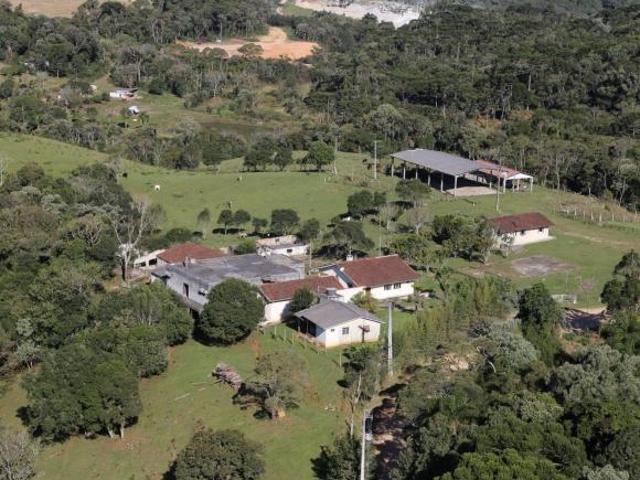 Fazenda em Costeira, São José dos Pinhais/PR de 10m² 3 quartos à venda por R$ 3.500.000,00