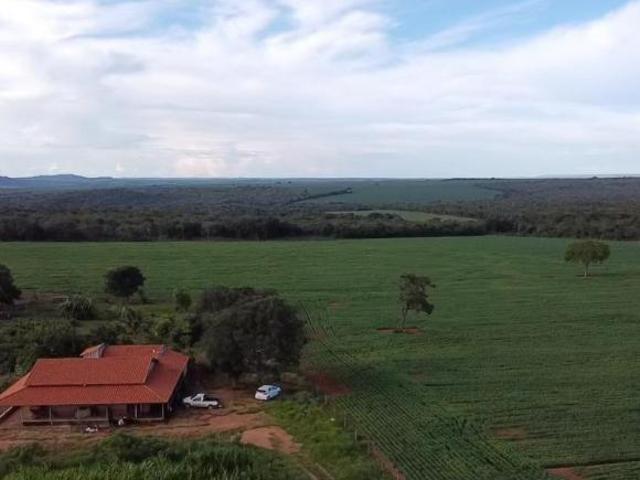 FAZENDA EM COROMANDEL: 71 HEC PRODUTIVOS E RIO PIRAPETINGA