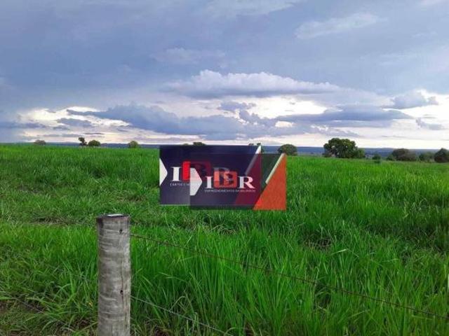 Fazenda em Coxim MS