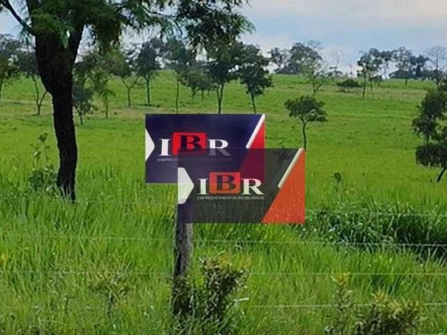 Fazenda em Coxim MS