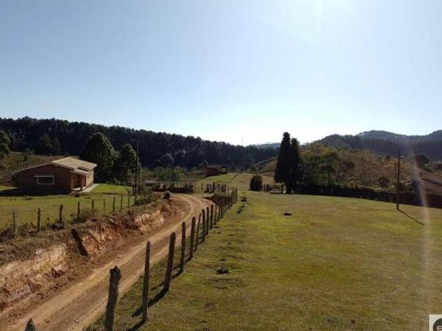 Fazenda em Delfim Moreira MG 79 alqueires