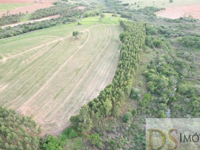 FAZENDA EM ECHAPORÃ/SP OPORTUNIDADE ÚNICA: 58,60 ALQUEIRES, PRÓXIMO À CIDADE R$ 10.600.000,00