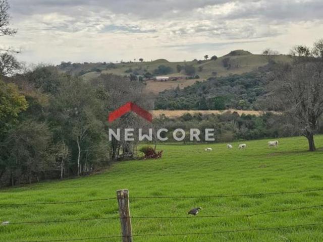 Fazenda em Entrada Pela Rodovia Pr 445, Km 55 – Irerê pr Patrimônio Selva Selva/PR