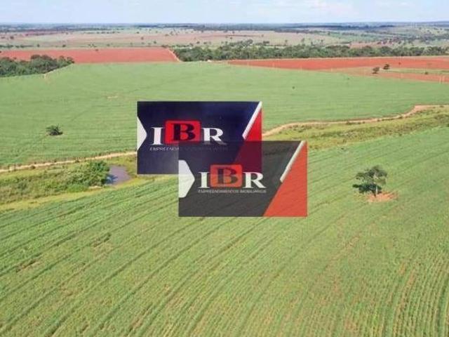 Fazenda em Fernandópolis SP