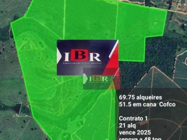 Fazenda em Fernandópolis SP