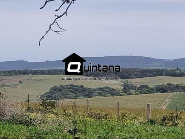 Fazenda em Guaíba 64 hectares de campo limpo