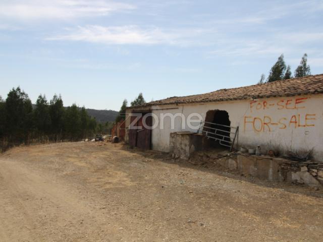 Fazenda em Gavião de Cima, São Bartolomeu de Messines