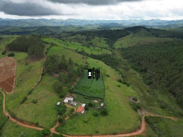 Fazenda em Goianá a venda com 75 hectares Alta produção de Silagem além de excelente para pecuária