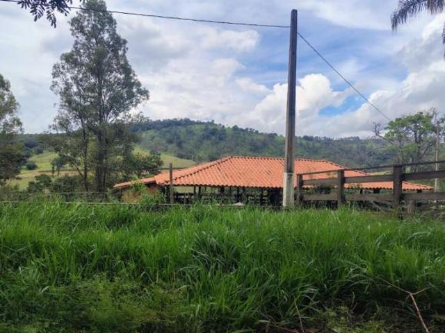 Fazenda em Itaúna MG 78 hectares