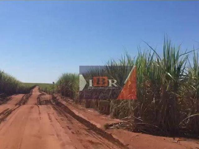 Fazenda em Iacanga SP