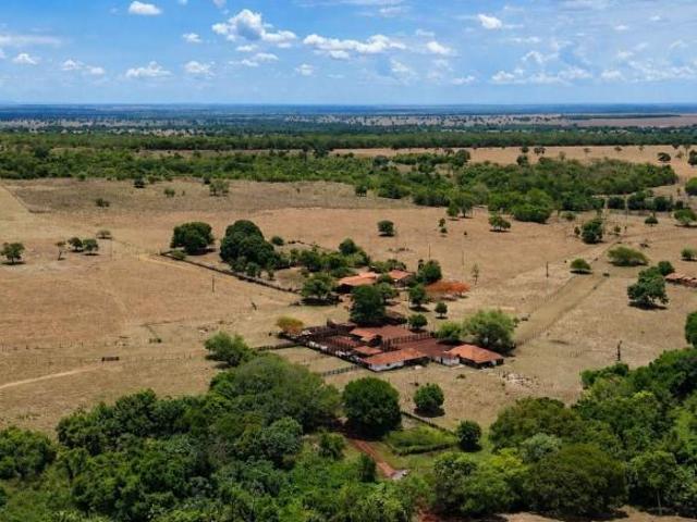 Fazenda em Jussara com 344,75 alqueires, 47 pastos e estrutura completa
