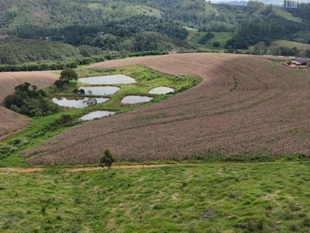 Fazenda em Jacutinga, Jacutinga/MG de 0m² à venda por R$ 10.700.000,00