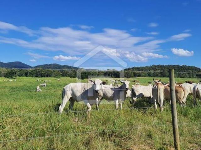 Fazenda em Jacupiranga SP com 89 hectares sendo 68 hectares em pasto