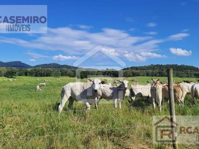 Fazenda em Jacupiranga SP com 89 hectares sendo 68 hectares em pasto