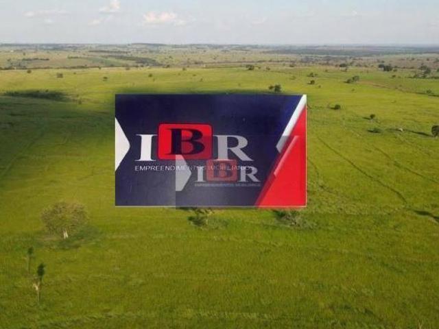Fazenda em Jales SP