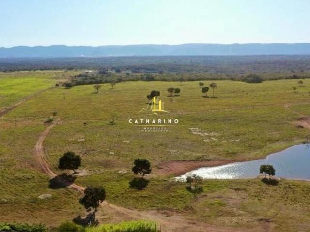 Fazenda em Jangada/MT